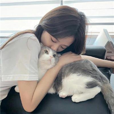 完美普通家庭